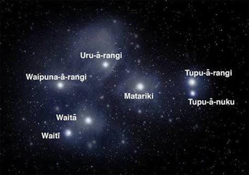 Image result for matariki in the southern hemisphere