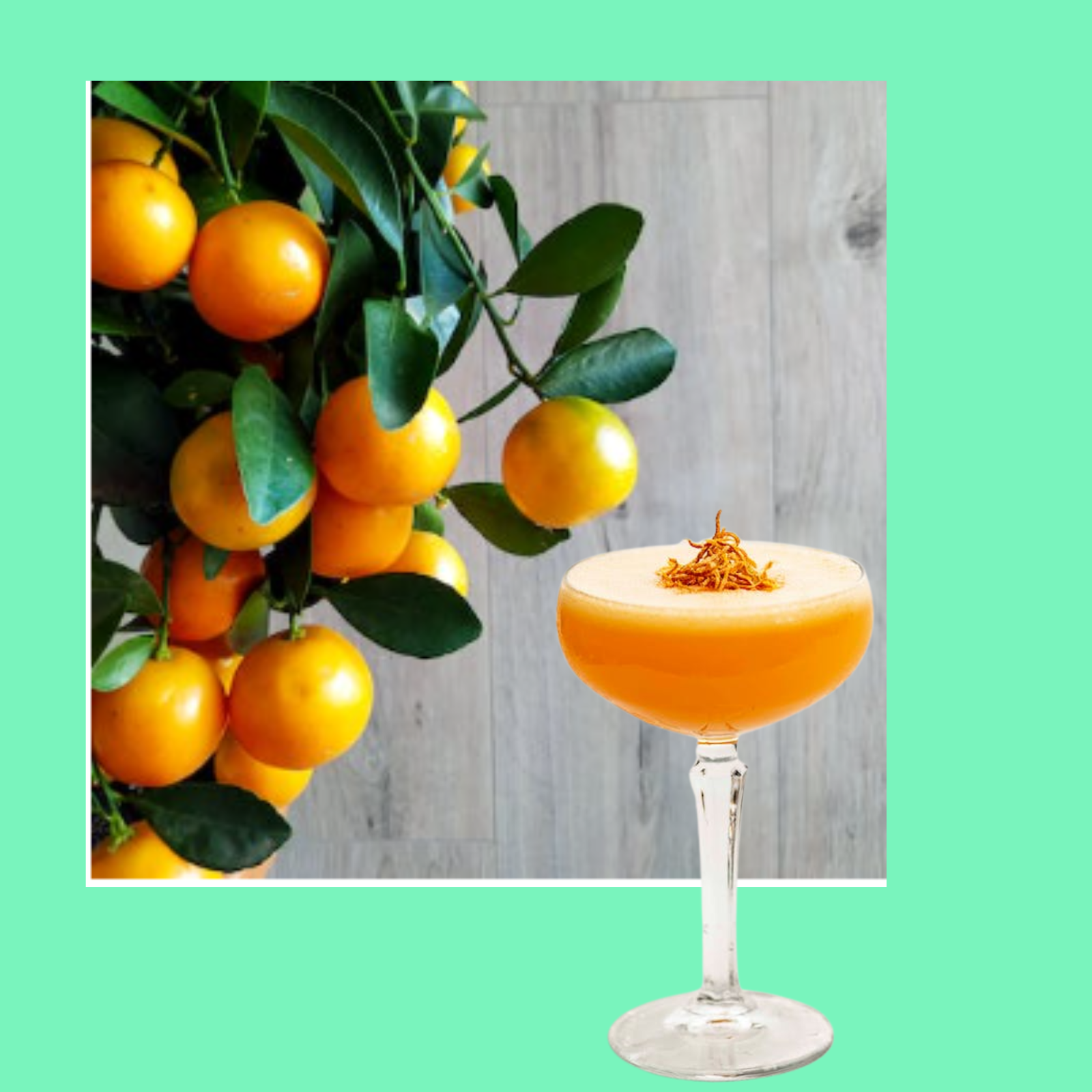 How does vitamin C affect your body