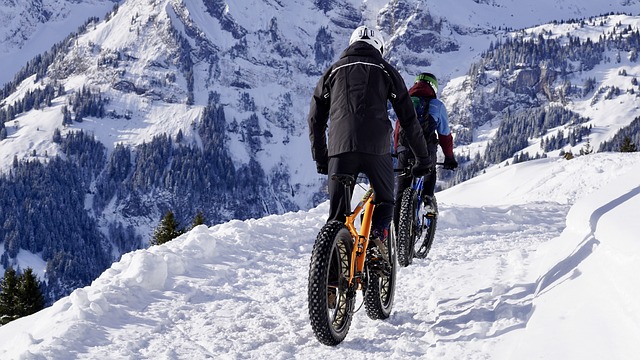 people riding fat camping bicycle