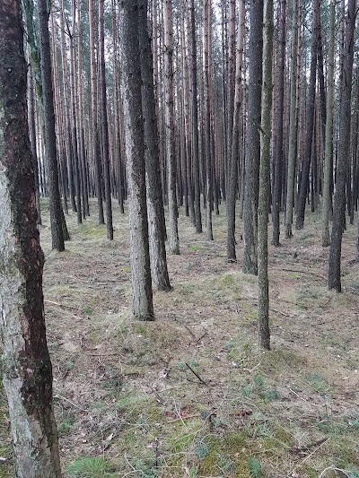 Photos of Kvavik camping AS