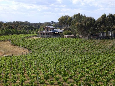 Photos of St Ignatius Vineyard & Winery