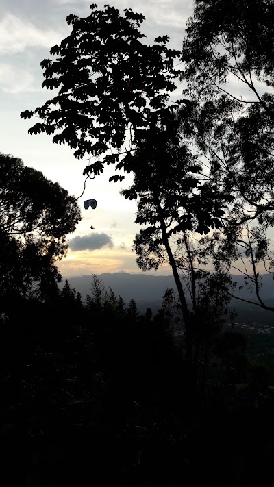 Photos of The Nest Hostel Colombia Paragliding