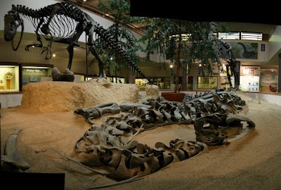 Photos of USU Eastern Prehistoric Museum