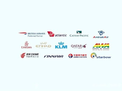 Photos of Avia Travel Consult