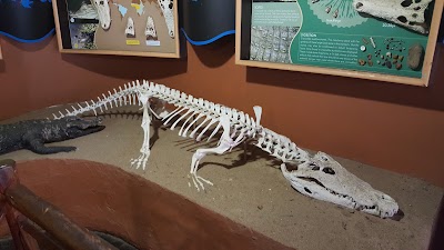 Photos of Crocodile Centre St Lucia