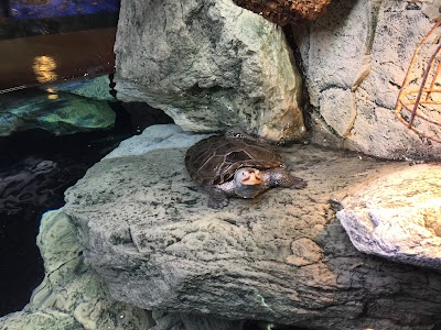 Photos of Aquarium Bach