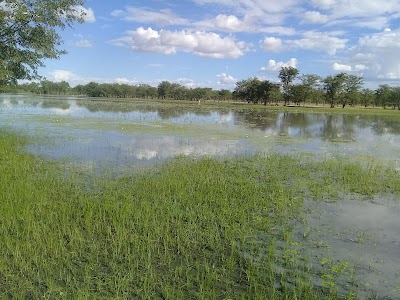 Photos of Omupalala, Olunkavu