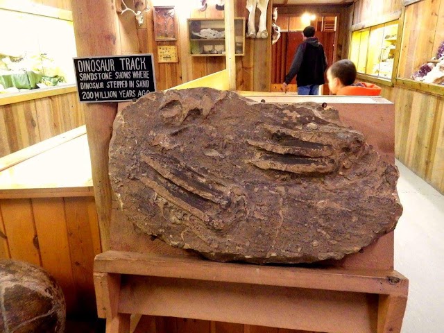 Badlands Petrified Gardens