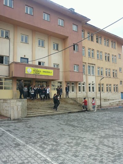university