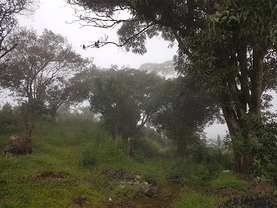Photos of HHB Consa
