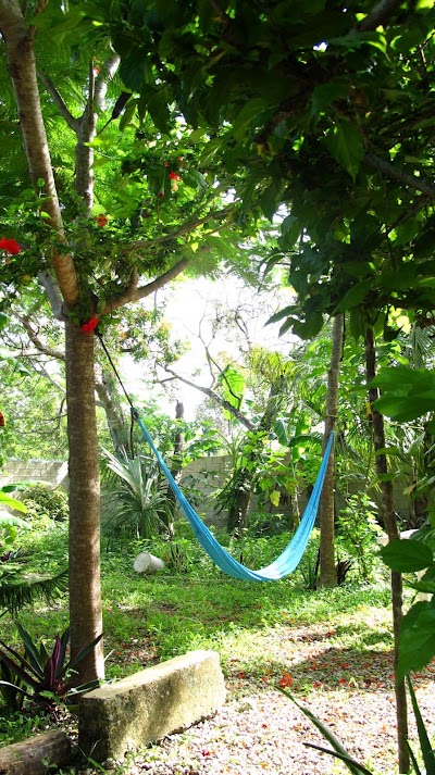 Photos of Calm Cabins Tulum