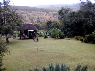 Photos of Bananien Lodge