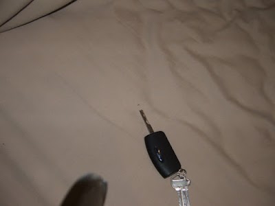 Photos of Palms Motel