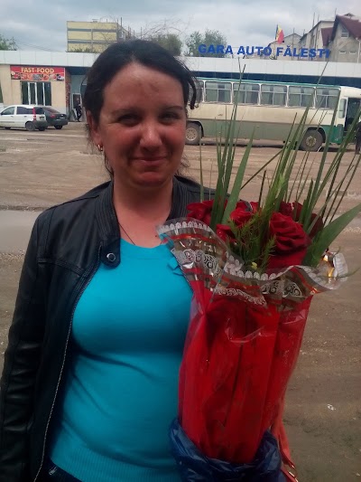 Photos of STIHL MOLDOVA