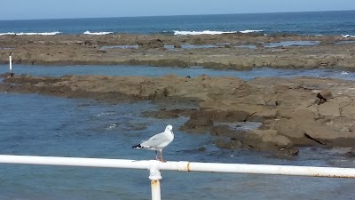 Photos of Lorne Aquatic Club
