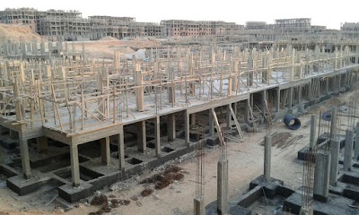 Photos of Degla Palms