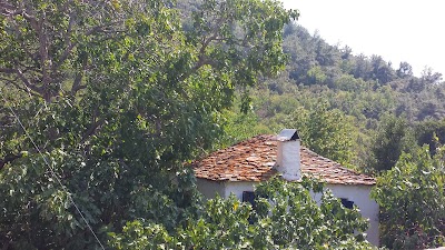 Photos of restaurant alfas