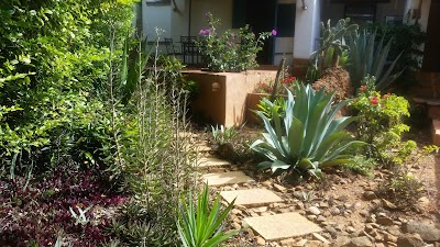 Photos of Casa de Huespedes El Cogollo B&B