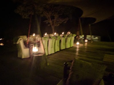 Photos of Mara Plains Camp