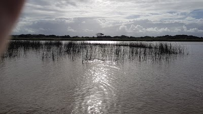 Photos of K Z N Wildlife