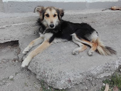 Photos of Pucar&aacute; de Rumicucho / Ruins / Ruinss