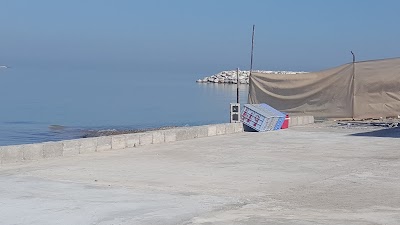 Photos of عزبة قلب الاسد