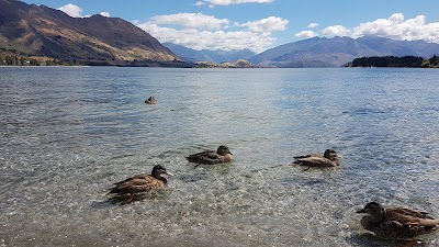 Photos of Paddle Wanaka