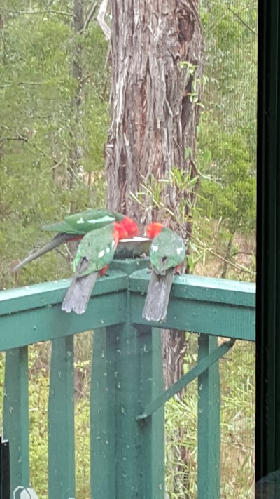 Photos of Hidden Valley Cabins