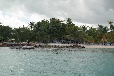 Photos of Coral Point Diving