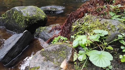 Photos of Korkeakoski