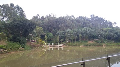 Photos of Dongguan Xiangshi Zoo