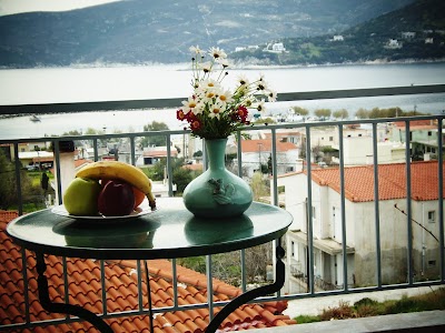 Photos of &Xi;&epsilon;&nu;ώ&nu;&alpha;&sigmaf; &Tau;&rho;&iota;&alpha;&nu;&tau;&alpha;&phi;&upsilon;&lambda;&lambda;&iota;ά