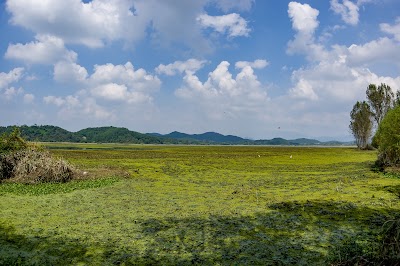 Photos of 우포늪