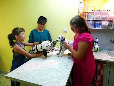 Photos of Univet