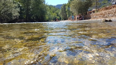 Photos of Autocamp - Camp Heaven In Nature