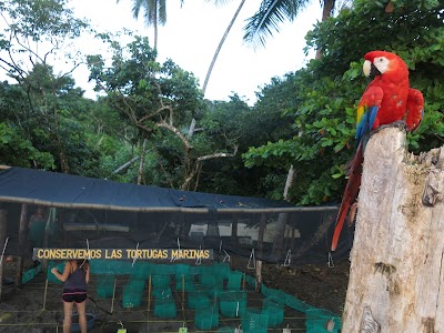 Photos of Guaria de Osa Ecolodge
