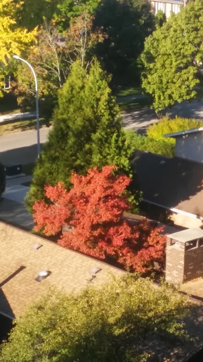 Photos of Trillium Village