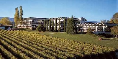university