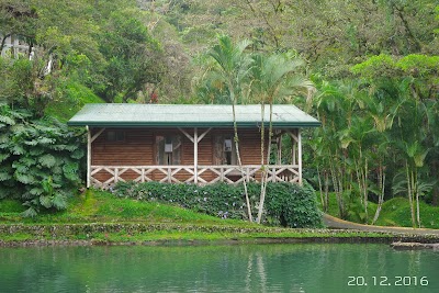 Photos of Hotel Rio Perlas Spa and Resort