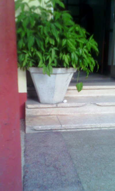 Photos of Pensao Ideal