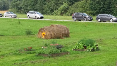 Photos of Rear The Farm