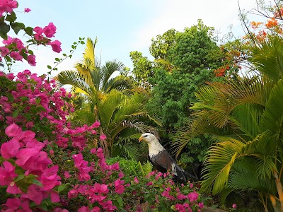 Photos of Chrolong Bopta Farm & Resort