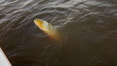 Photos of mauro e hijos pesca