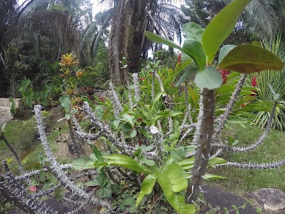 Photos of Amanwana Ecofinca