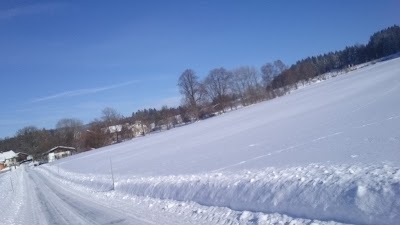 Photos of Baumkronenweg