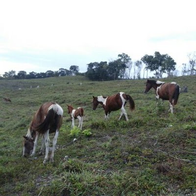 Photos of Las Vi&ntilde;as