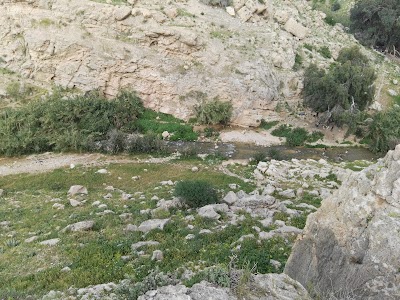 Photos of مقام وضريح النبي شعيب عليه السلام (Jethro)