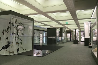 Photos of University of Tartu, Museum of Natural History