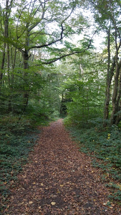 Photos of Parc du Castel