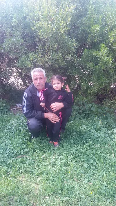 Photos of Al-Hashimi Al-Janoubi Park